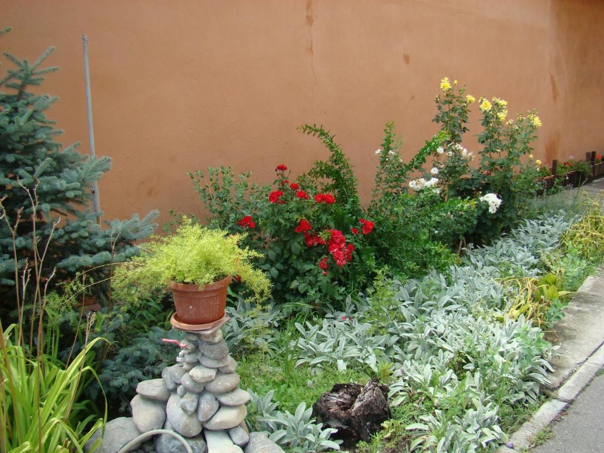 Гостевой дом Pensiunea Vlad Тимишоара-15