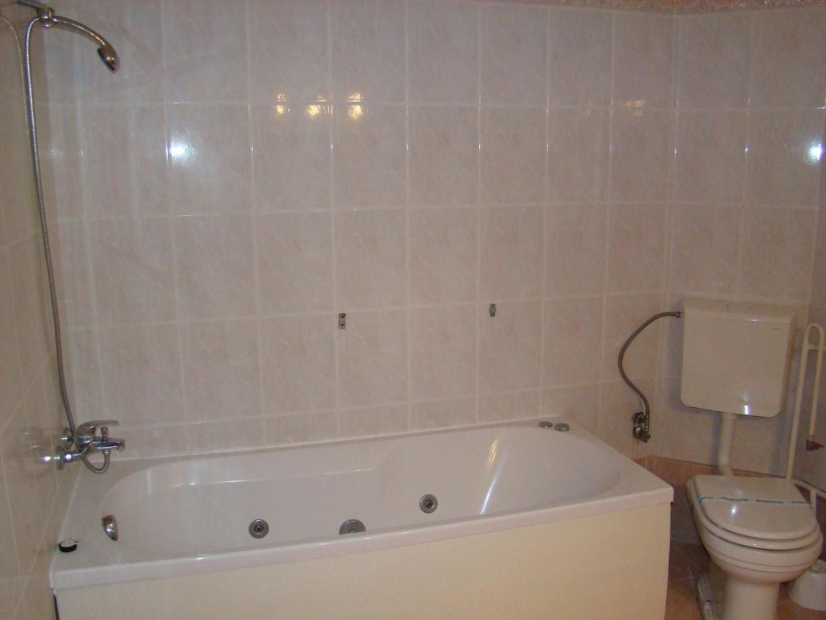 Гостевой дом Pensiunea Vlad Тимишоара