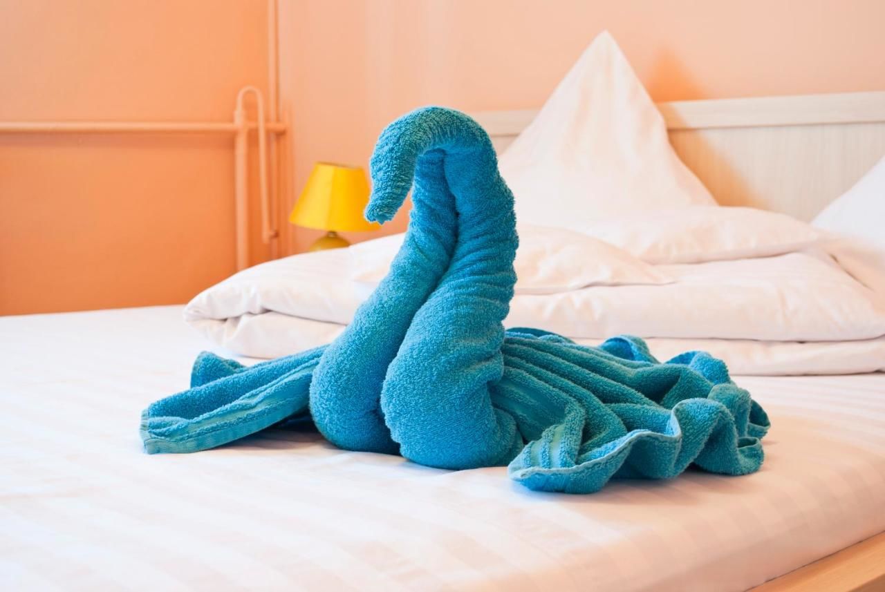 Гостевой дом Pensiunea Vlad Тимишоара