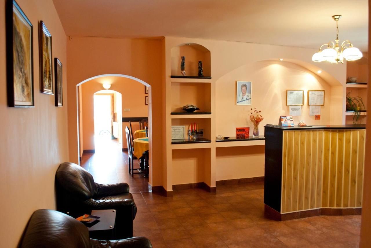 Гостевой дом Pensiunea Vlad Тимишоара-29