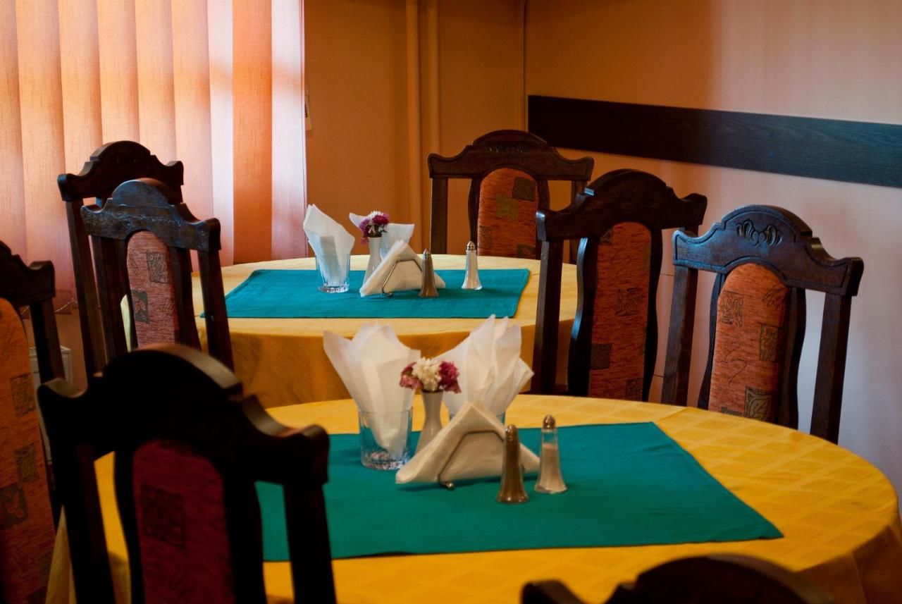 Гостевой дом Pensiunea Vlad Тимишоара-30