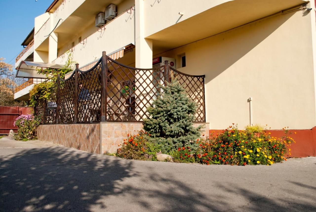 Гостевой дом Pensiunea Vlad Тимишоара-35