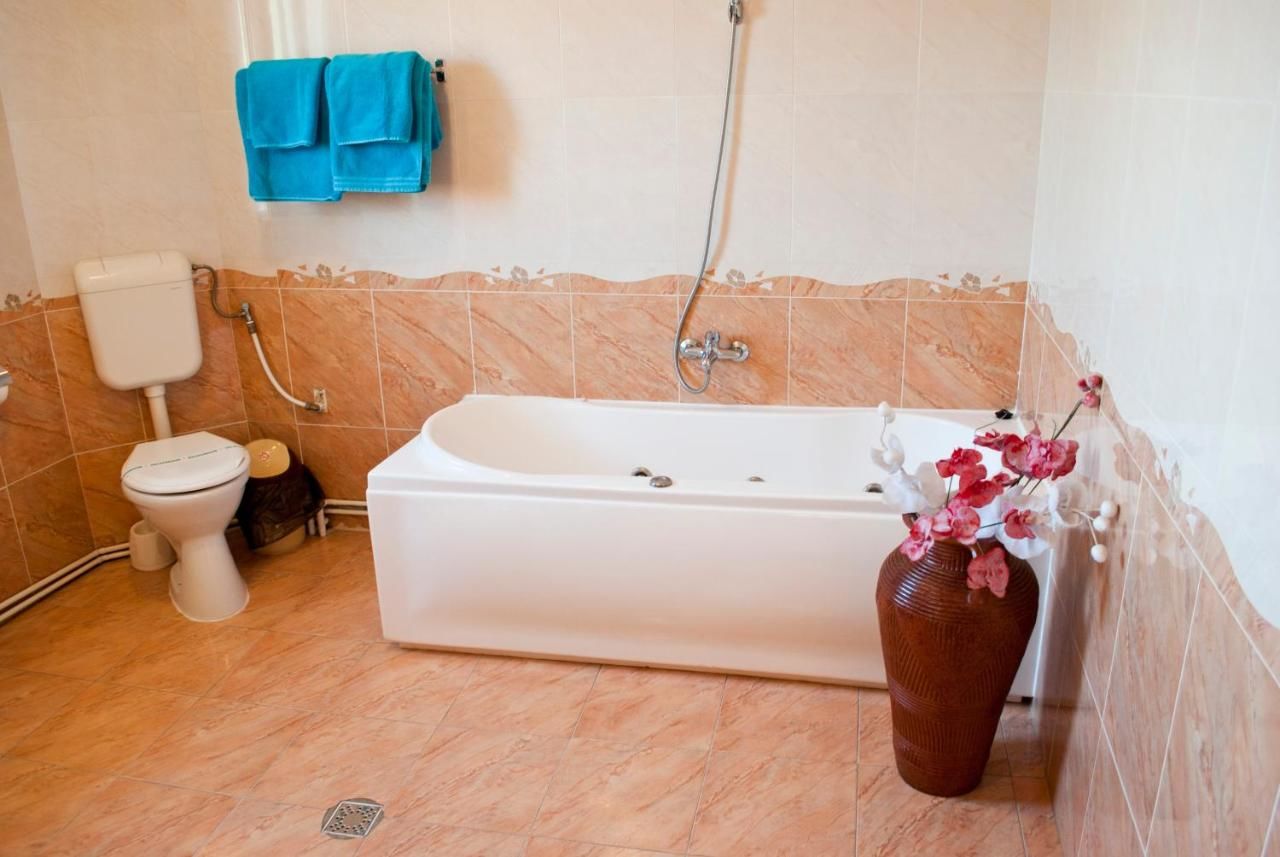 Гостевой дом Pensiunea Vlad Тимишоара-46