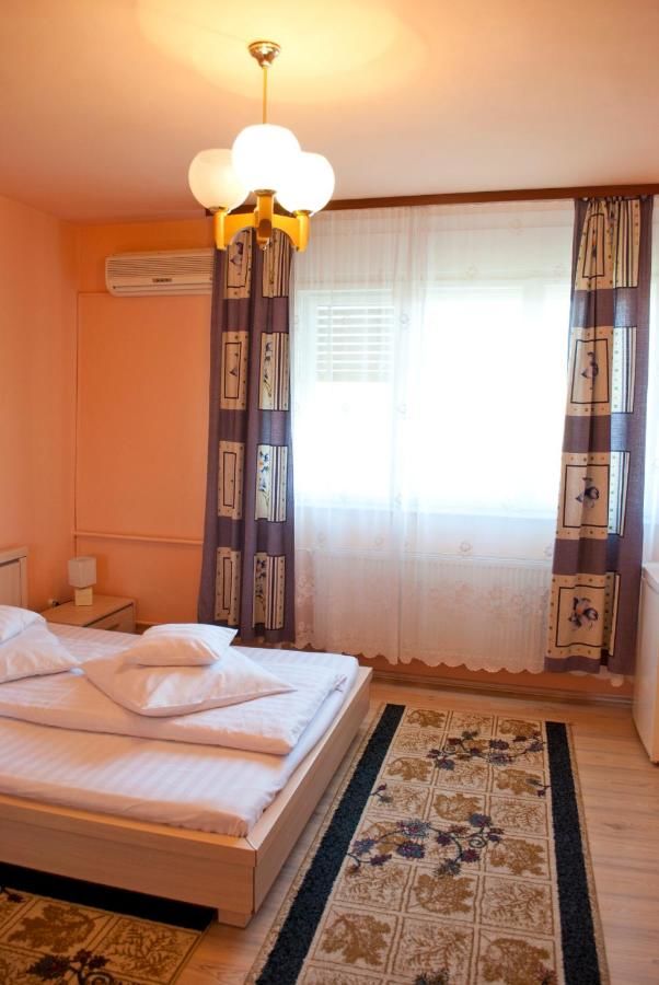 Гостевой дом Pensiunea Vlad Тимишоара-47