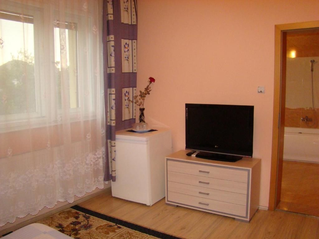 Гостевой дом Pensiunea Vlad Тимишоара