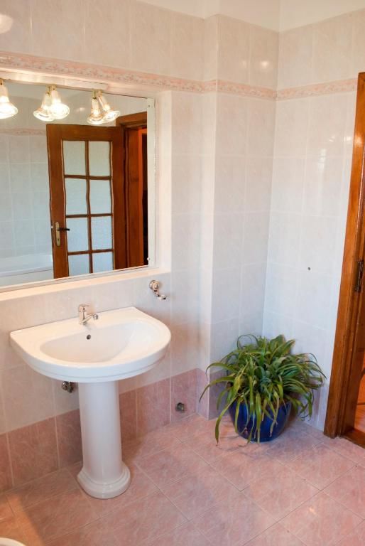 Гостевой дом Pensiunea Vlad Тимишоара