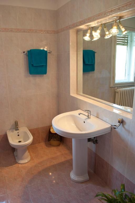 Гостевой дом Pensiunea Vlad Тимишоара