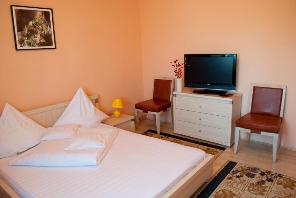 Гостевой дом Pensiunea Vlad Тимишоара