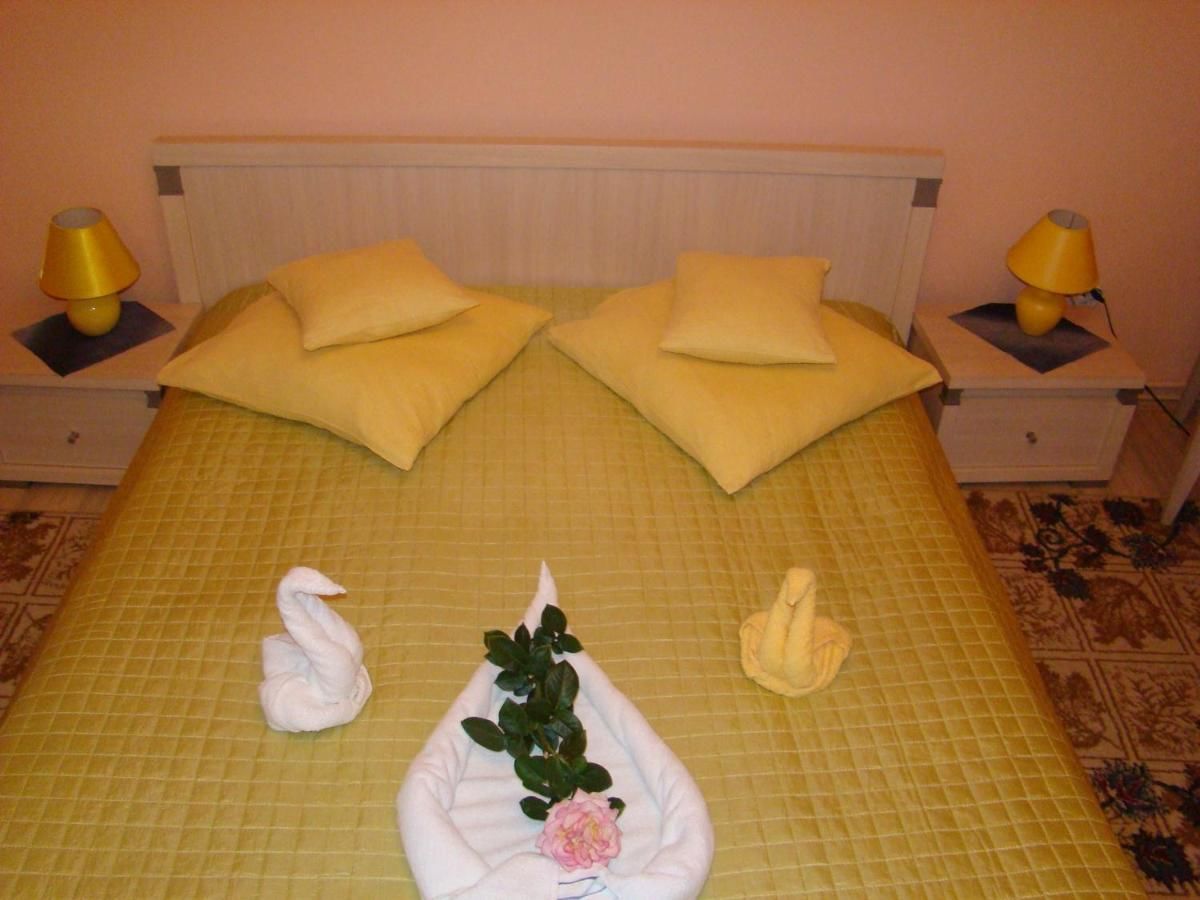 Гостевой дом Pensiunea Vlad Тимишоара