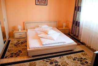 Гостевой дом Pensiunea Vlad Тимишоара Двухместный номер с 1 кроватью или 2 отдельными кроватями-6