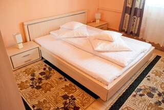 Гостевой дом Pensiunea Vlad Тимишоара Двухместный номер с 1 кроватью или 2 отдельными кроватями-13